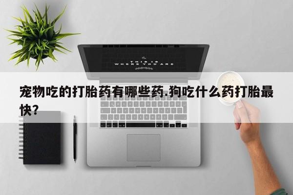 米非司酮片在线购买宠物吃的打胎药有哪些药.狗吃什么药打胎最快？